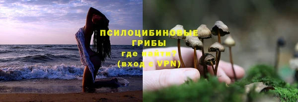 стаф Верхний Тагил