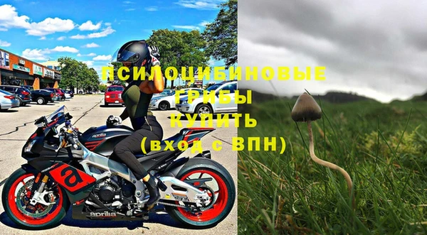 стаф Верхний Тагил