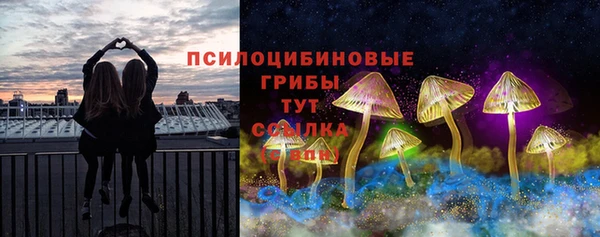 индика Верхнеуральск