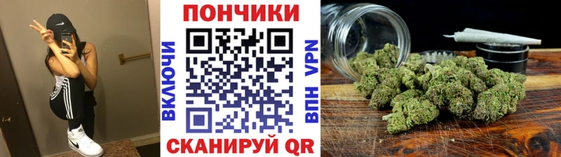 Бошки марихуана конопля  где продают   Верхний Тагил 